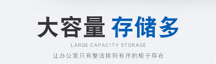 通玻对开门文件柜厂家