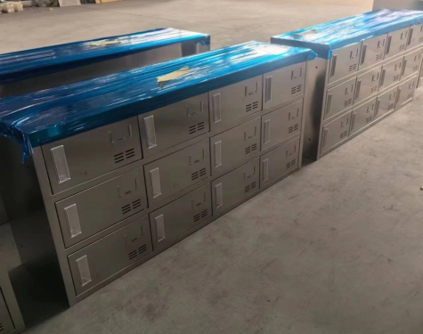 平顶山李大厨食品厂更衣柜鞋柜