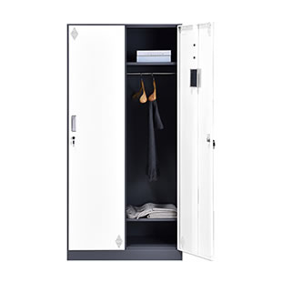 二门更衣柜-蓝白套色